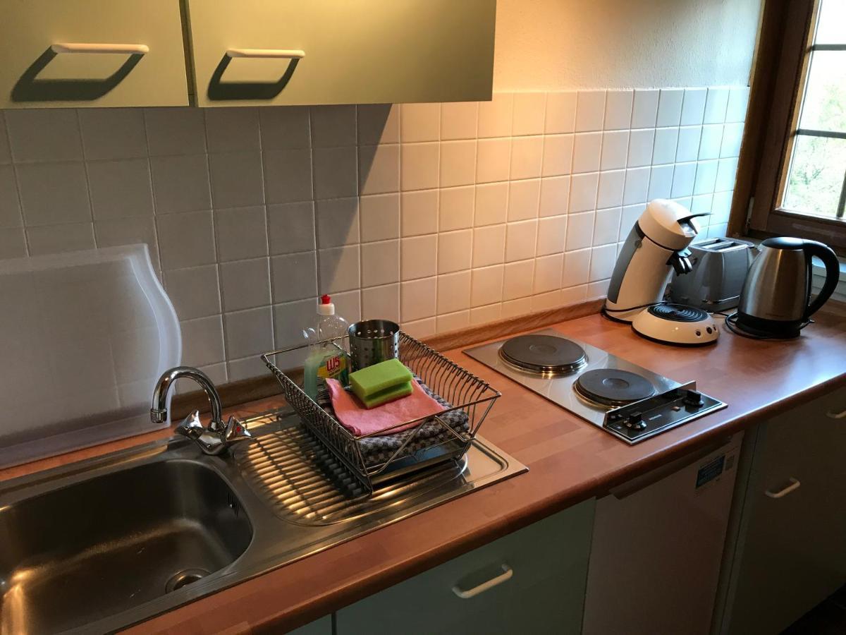 Fuchs Und Has' Gaestehaus Feldberg  Buitenkant foto