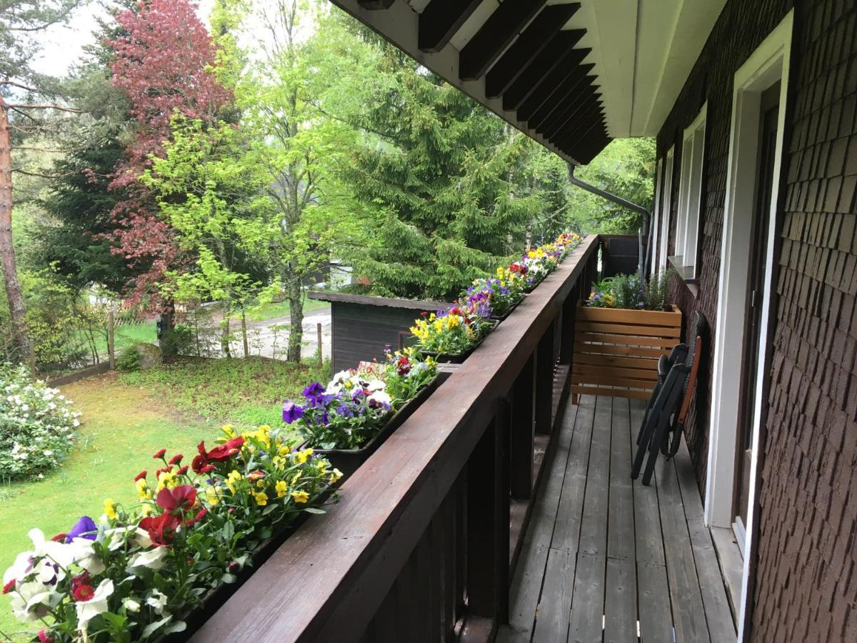 Fuchs Und Has' Gastehaus Appartement Feldberg  Buitenkant foto