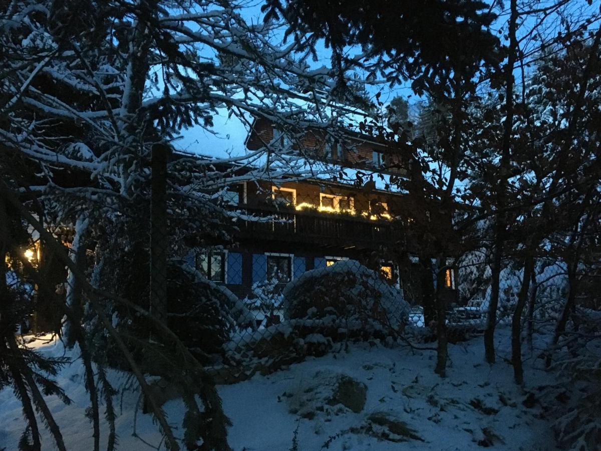 Fuchs Und Has' Gastehaus Appartement Feldberg  Buitenkant foto