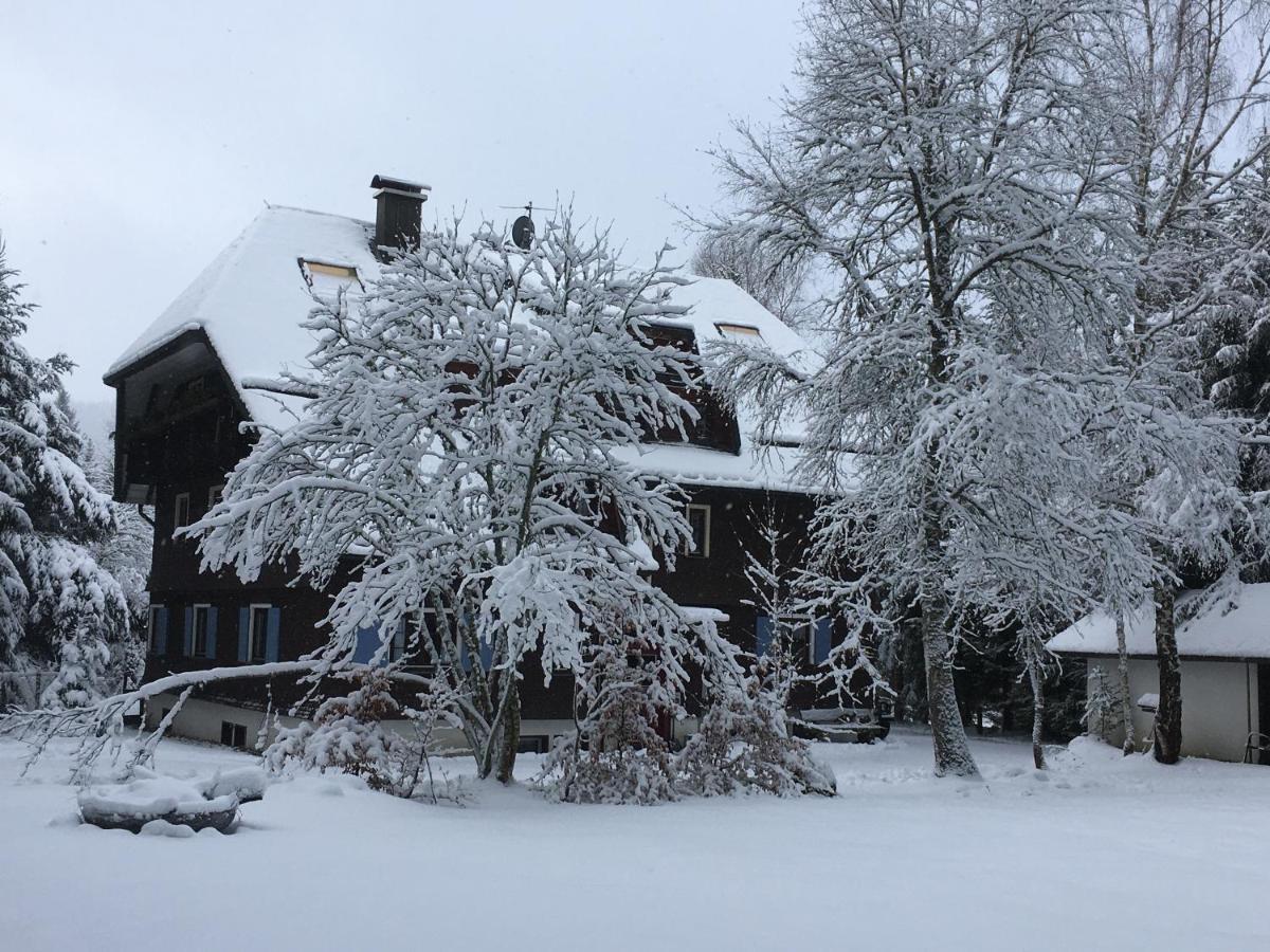 Fuchs Und Has' Gastehaus Appartement Feldberg  Buitenkant foto