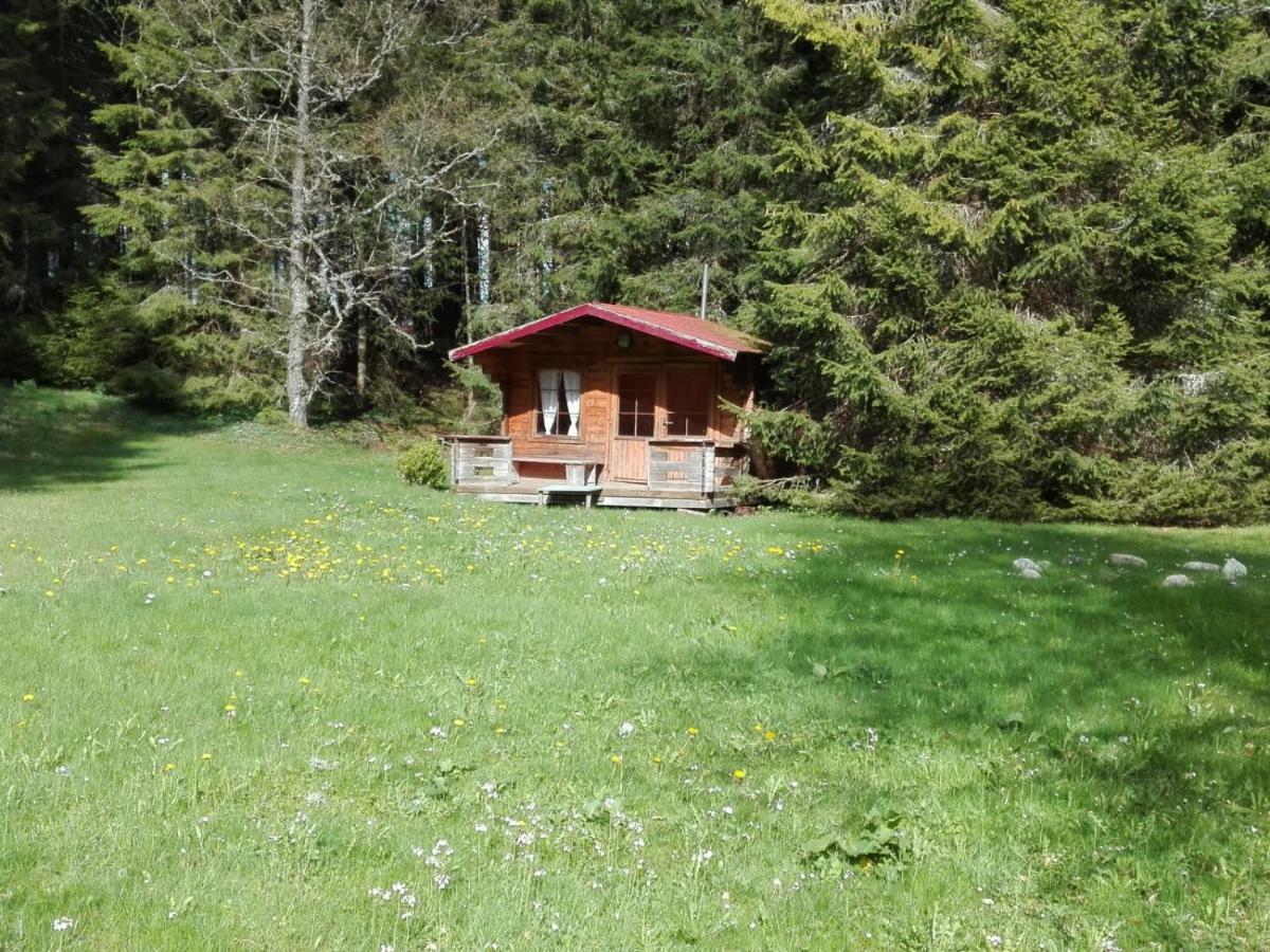 Fuchs Und Has' Gastehaus Appartement Feldberg  Buitenkant foto